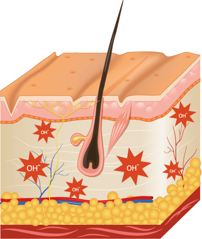 Proceso de eliminación de oxígeno activo con Hydratouch H2